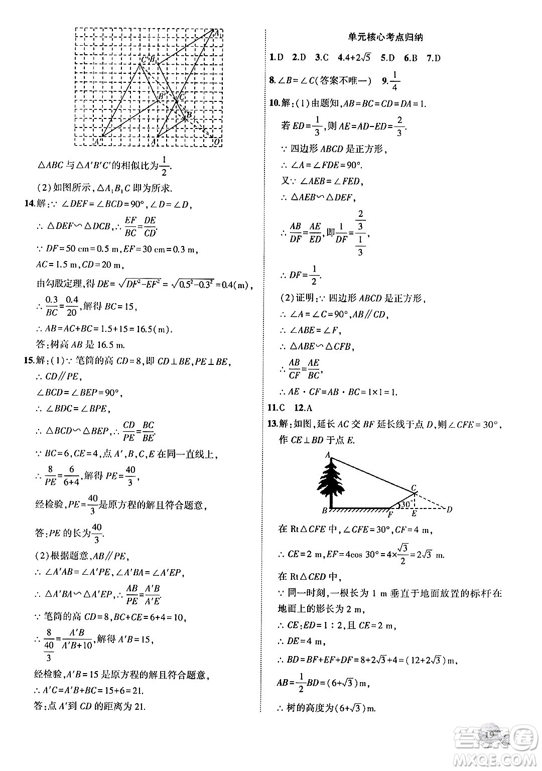 安徽大學出版社2024年秋創(chuàng)新課堂創(chuàng)新作業(yè)本九年級數學上冊滬科版答案