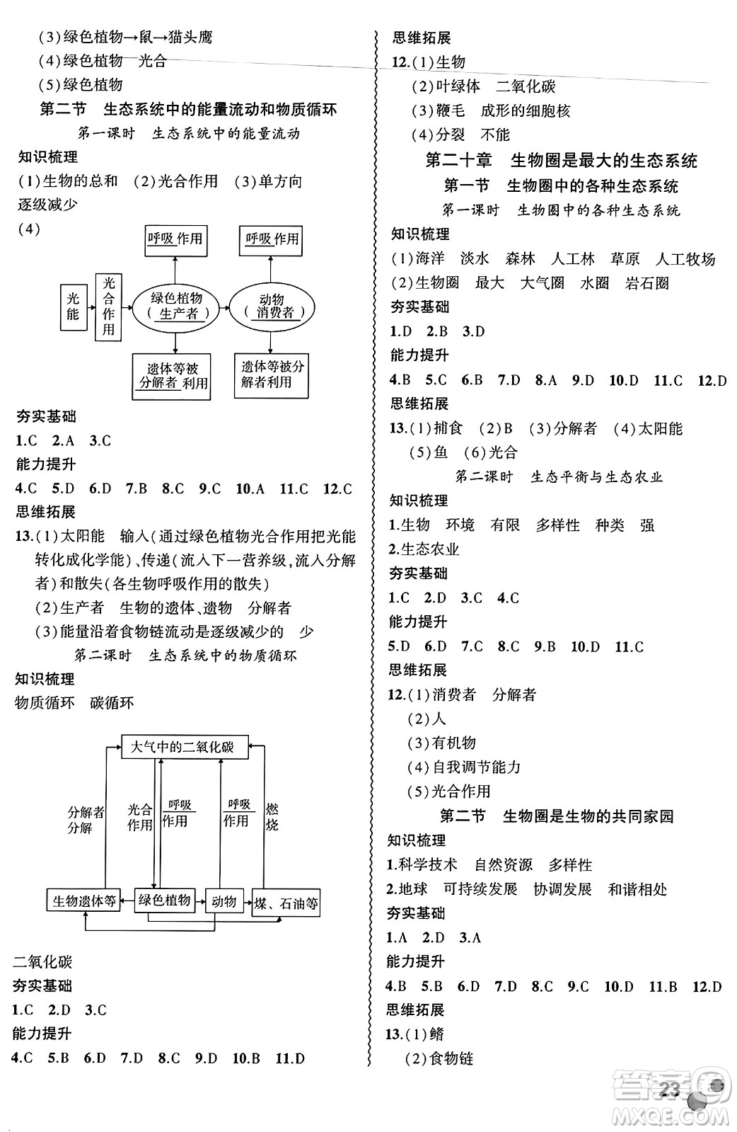 安徽大學(xué)出版社2024年秋創(chuàng)新課堂創(chuàng)新作業(yè)本八年級生物上冊蘇教版答案