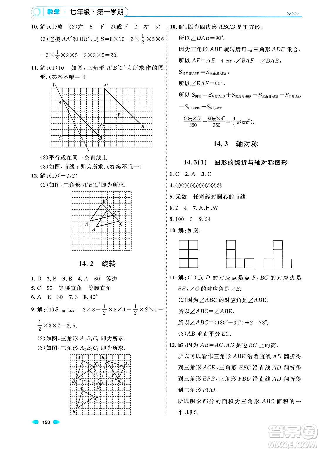 天津人民出版社2024年秋上海作業(yè)七年級數(shù)學上冊上海專版答案