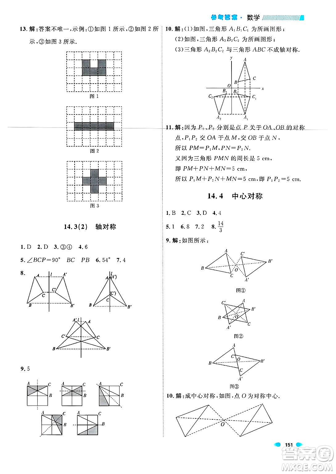 天津人民出版社2024年秋上海作業(yè)七年級數(shù)學上冊上海專版答案