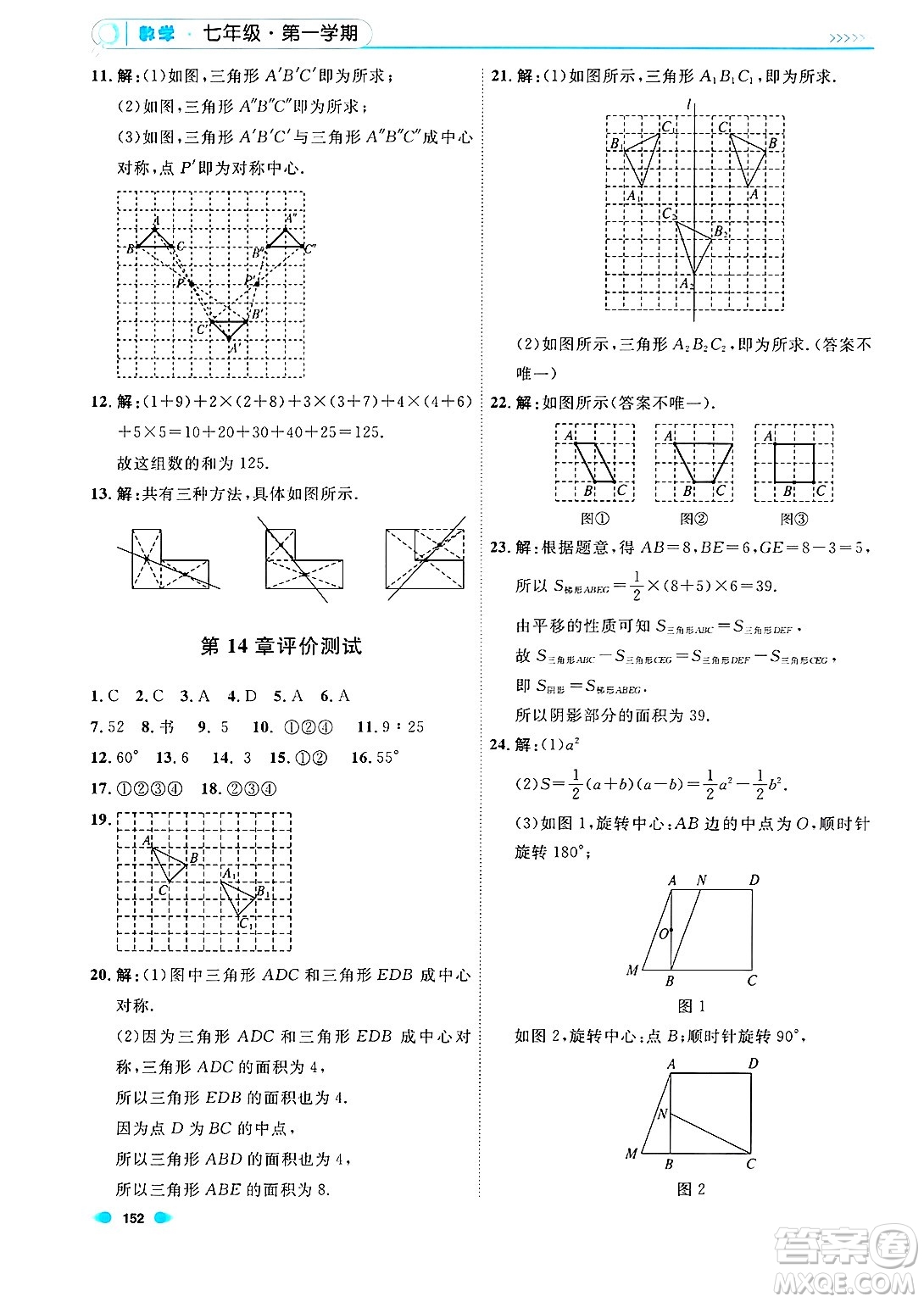 天津人民出版社2024年秋上海作業(yè)七年級數(shù)學上冊上海專版答案