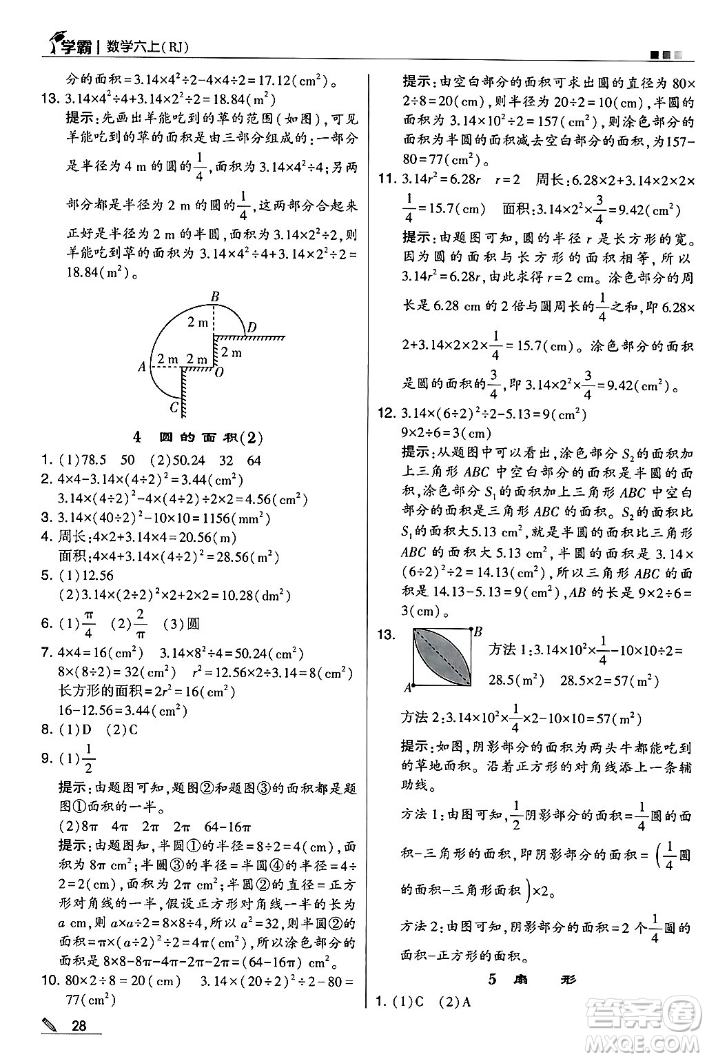 河海大學(xué)出版社2024年秋5星學(xué)霸六年級數(shù)學(xué)上冊人教版答案