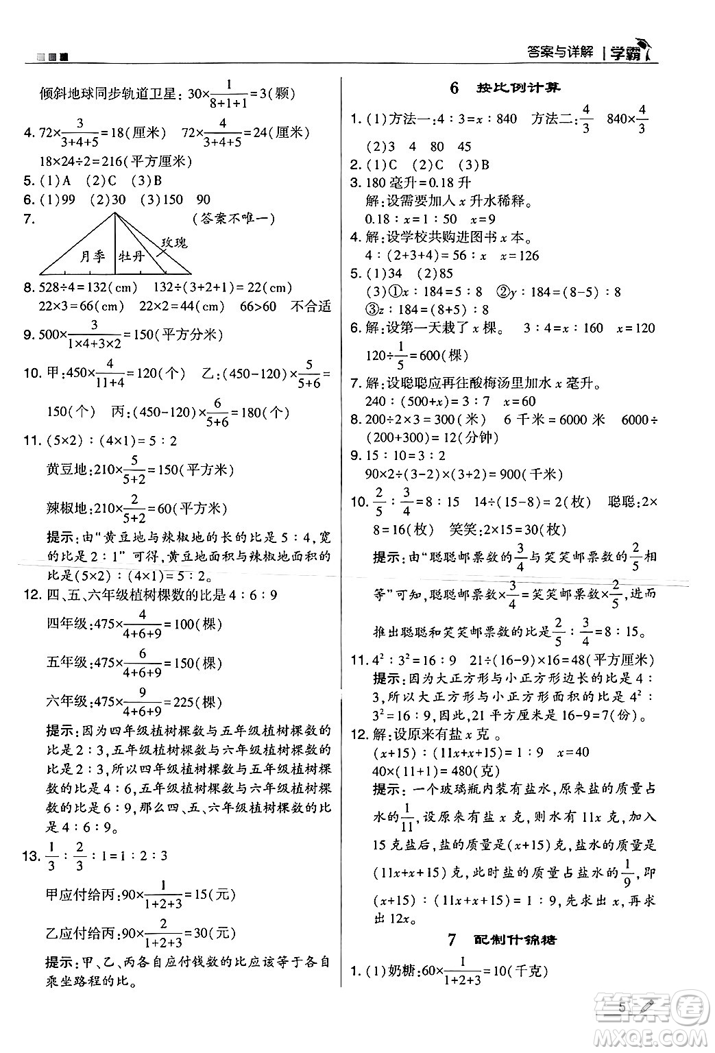 河海大學(xué)出版社2024年秋5星學(xué)霸六年級(jí)數(shù)學(xué)上冊(cè)冀教版答案