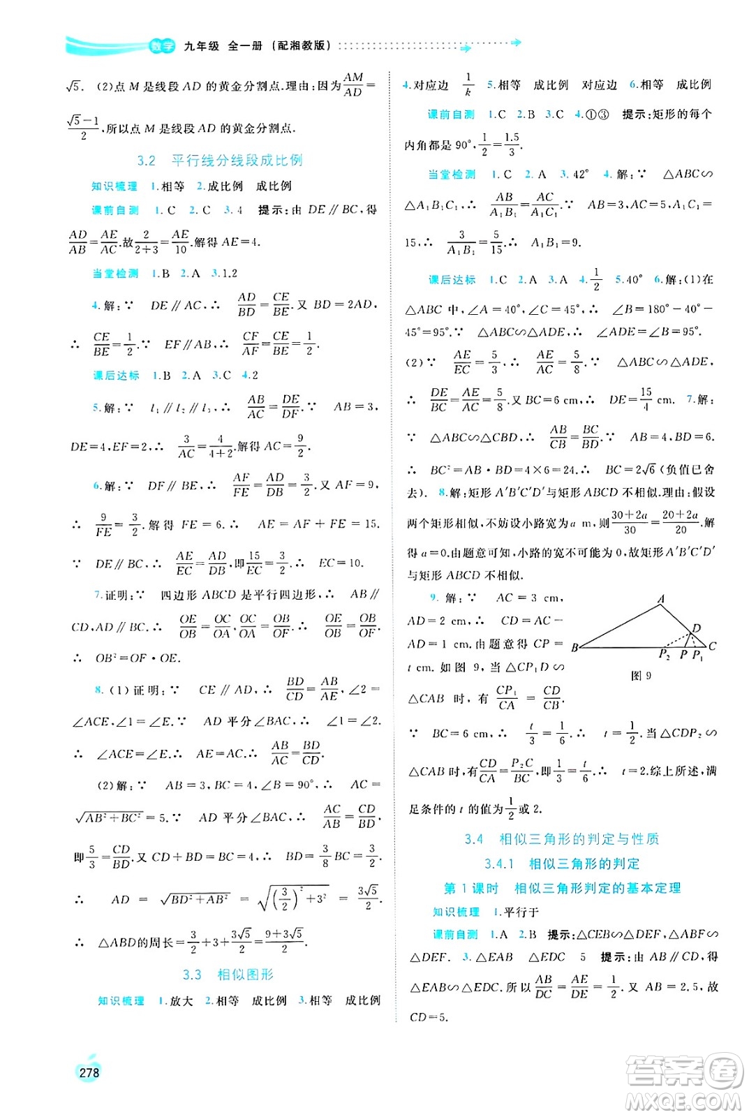 廣西師范大學(xué)出版社2025年春新課程學(xué)習(xí)與測(cè)評(píng)同步學(xué)習(xí)九年級(jí)數(shù)學(xué)全一冊(cè)湘教版答案