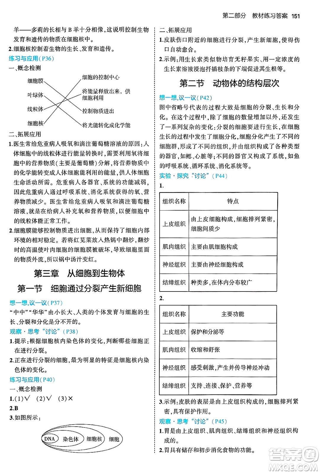 四川大學(xué)出版社2024年秋初中同步5年中考3年模擬七年級生物上冊人教版答案