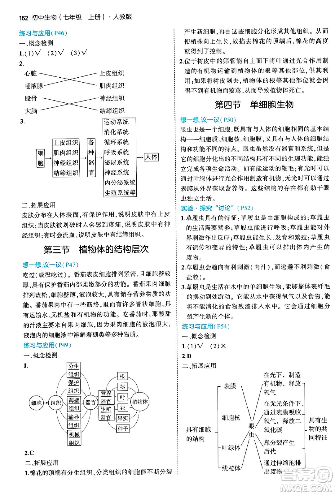 四川大學(xué)出版社2024年秋初中同步5年中考3年模擬七年級生物上冊人教版答案