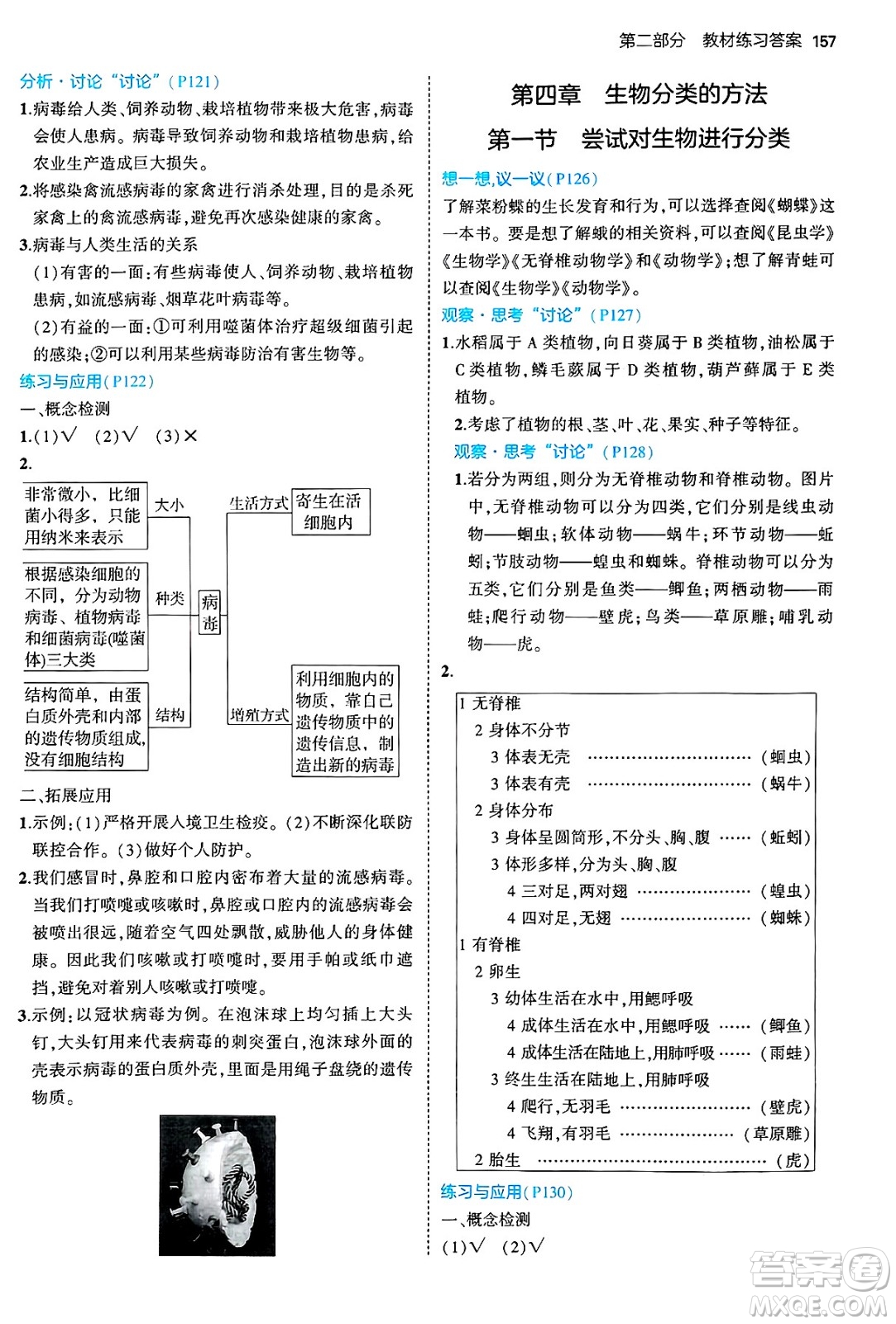 四川大學(xué)出版社2024年秋初中同步5年中考3年模擬七年級生物上冊人教版答案