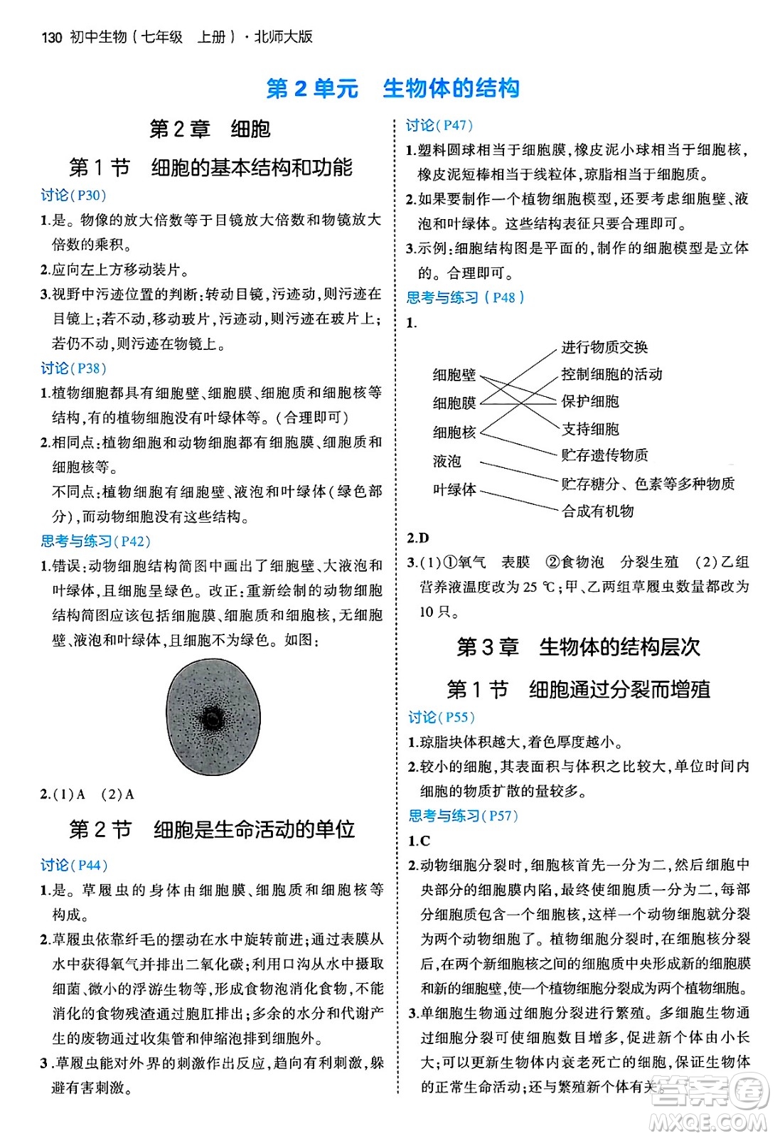 四川大學出版社2024年秋初中同步5年中考3年模擬七年級生物上冊北師大版答案