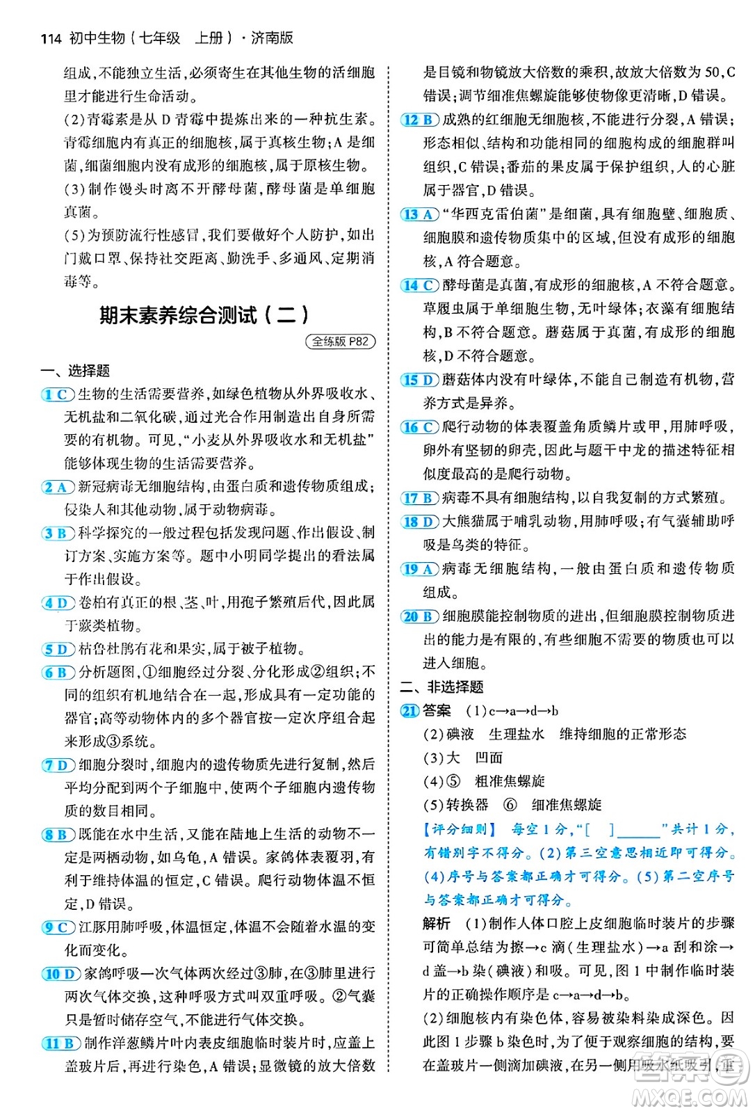 四川大學(xué)出版社2024年秋初中同步5年中考3年模擬七年級(jí)生物上冊(cè)濟(jì)南版答案