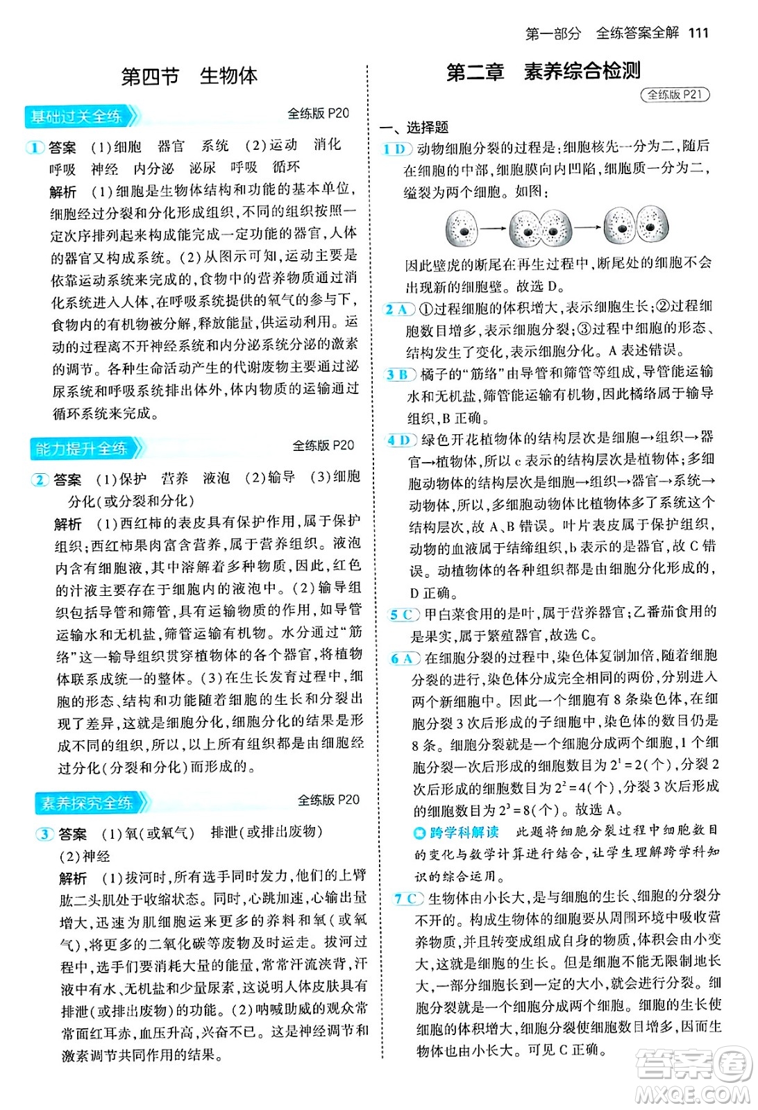 四川大學出版社2024年秋初中同步5年中考3年模擬七年級生物上冊冀少版答案