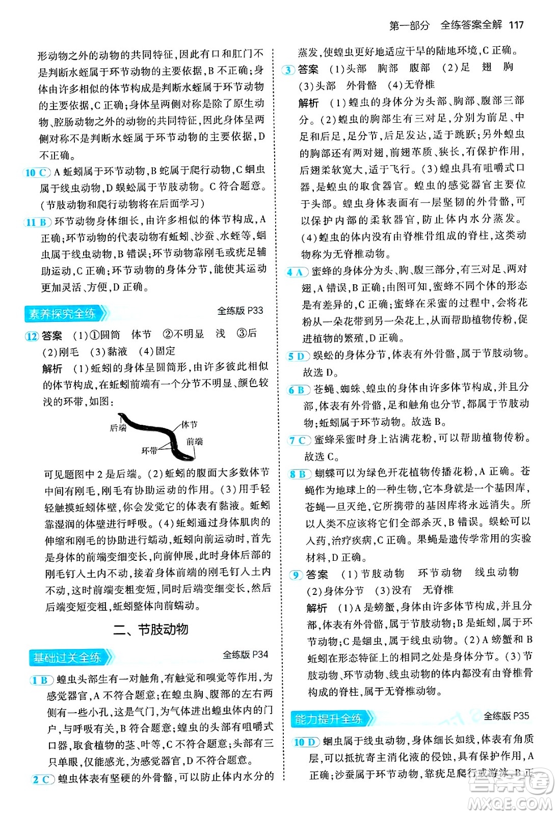 四川大學出版社2024年秋初中同步5年中考3年模擬七年級生物上冊冀少版答案