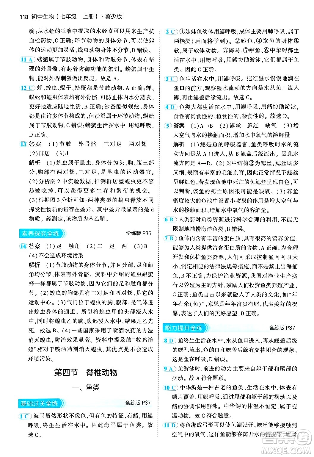 四川大學出版社2024年秋初中同步5年中考3年模擬七年級生物上冊冀少版答案