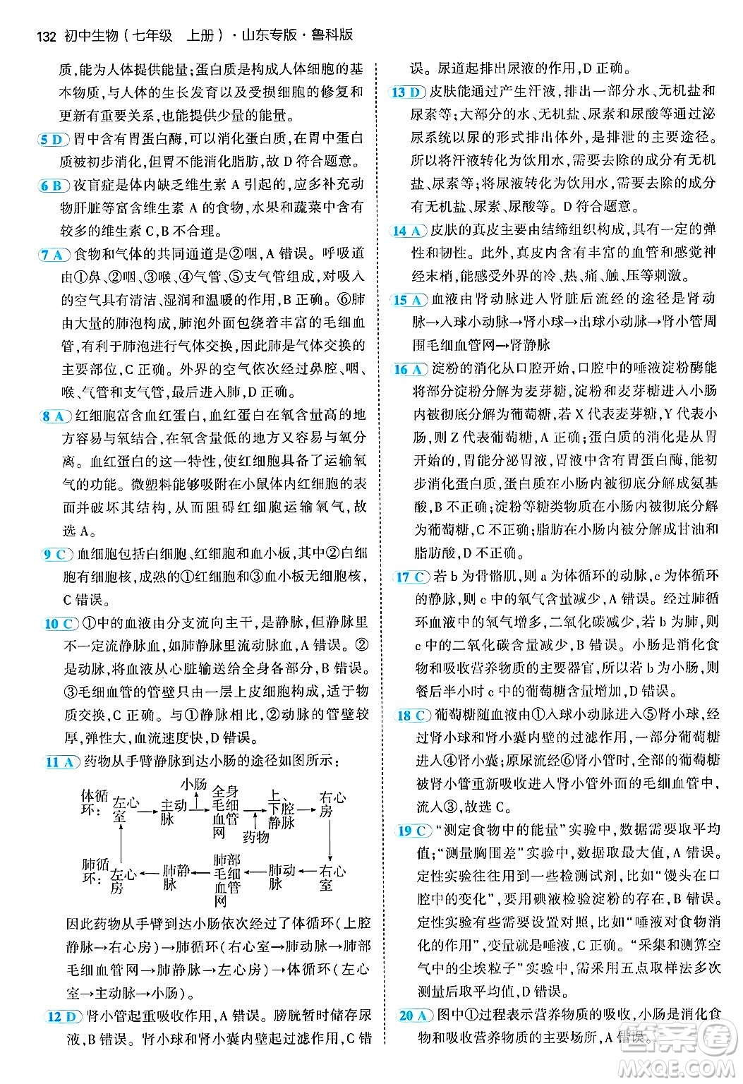 首都師范大學(xué)出版社2024年秋初中同步5年中考3年模擬七年級(jí)生物上冊(cè)魯科版山東專版答案