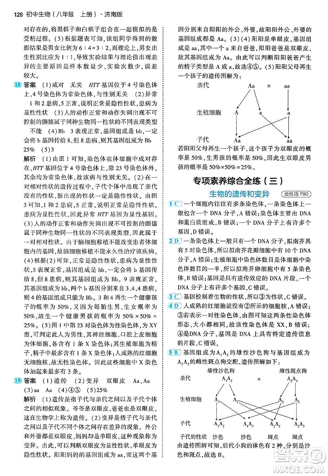 四川大學(xué)出版社2024年秋初中同步5年中考3年模擬八年級生物上冊濟(jì)南版答案