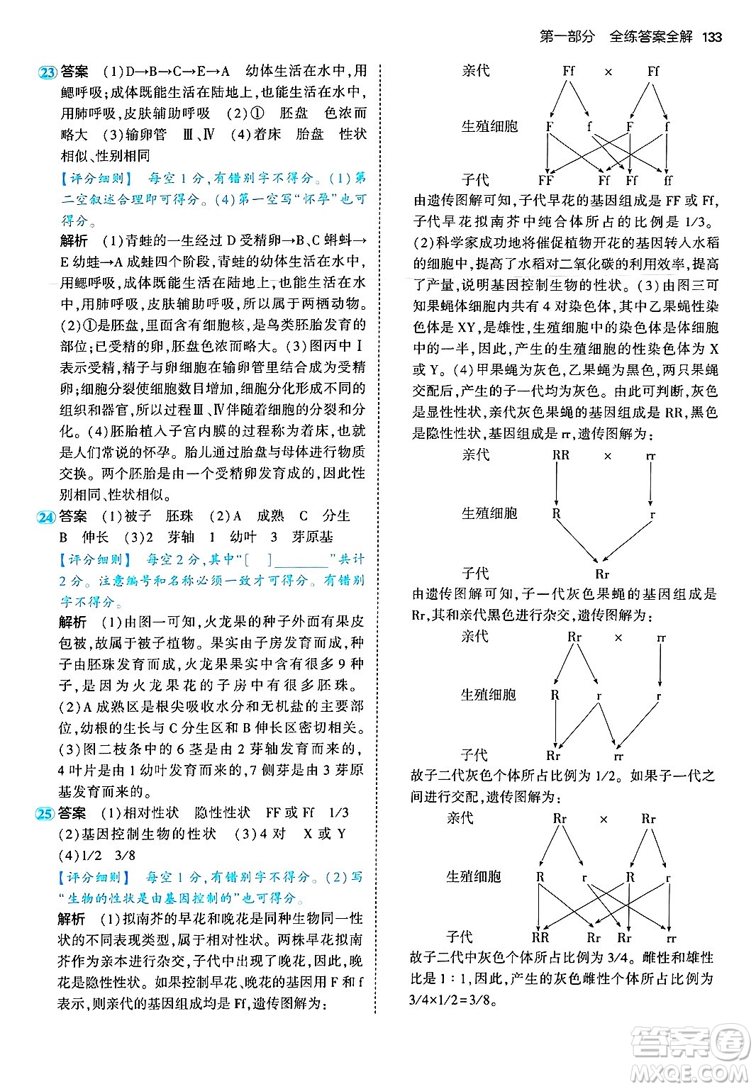 四川大學(xué)出版社2024年秋初中同步5年中考3年模擬八年級生物上冊濟(jì)南版答案