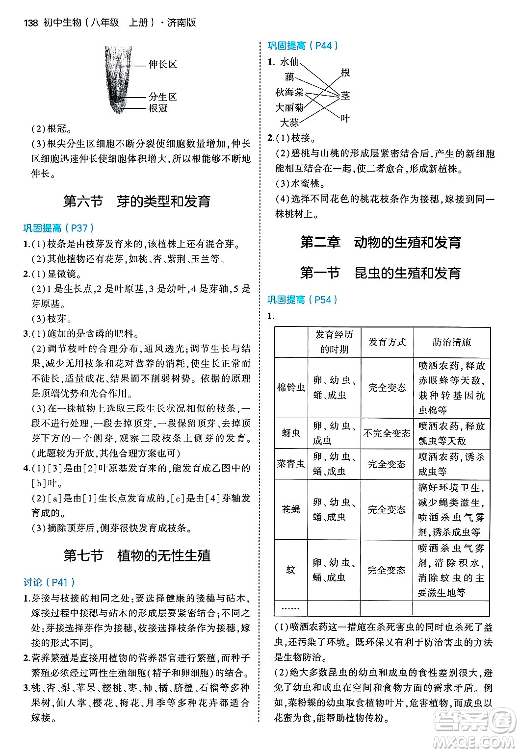 四川大學(xué)出版社2024年秋初中同步5年中考3年模擬八年級生物上冊濟(jì)南版答案