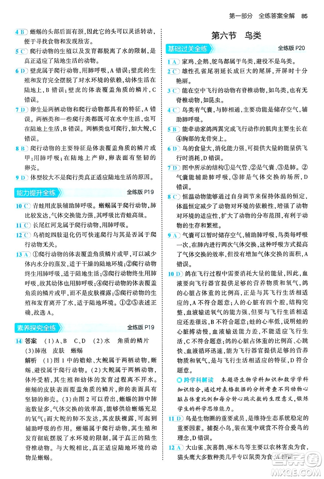 首都師范大學出版社2024年秋初中同步5年中考3年模擬八年級生物上冊魯科版山東專版答案