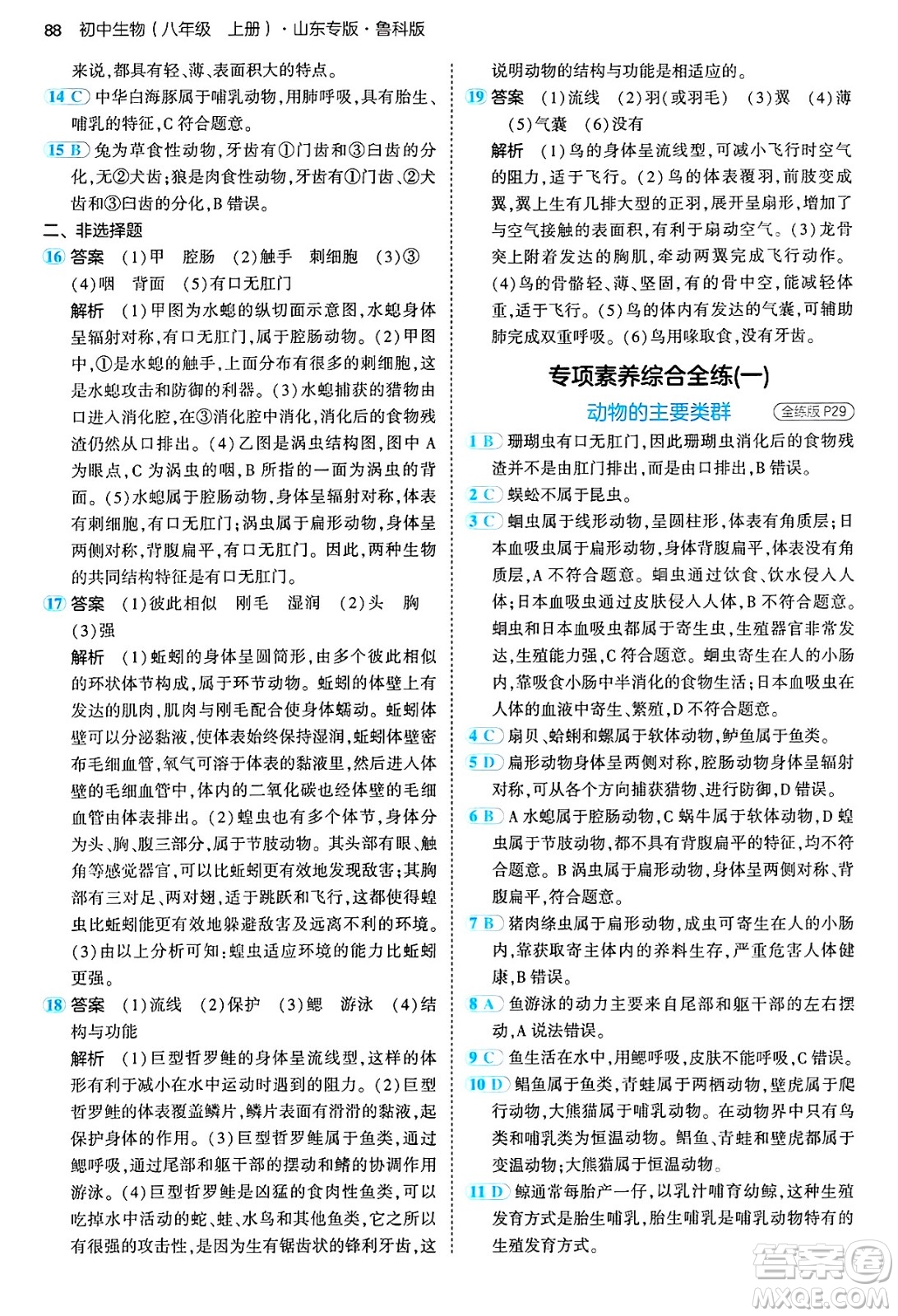 首都師范大學出版社2024年秋初中同步5年中考3年模擬八年級生物上冊魯科版山東專版答案