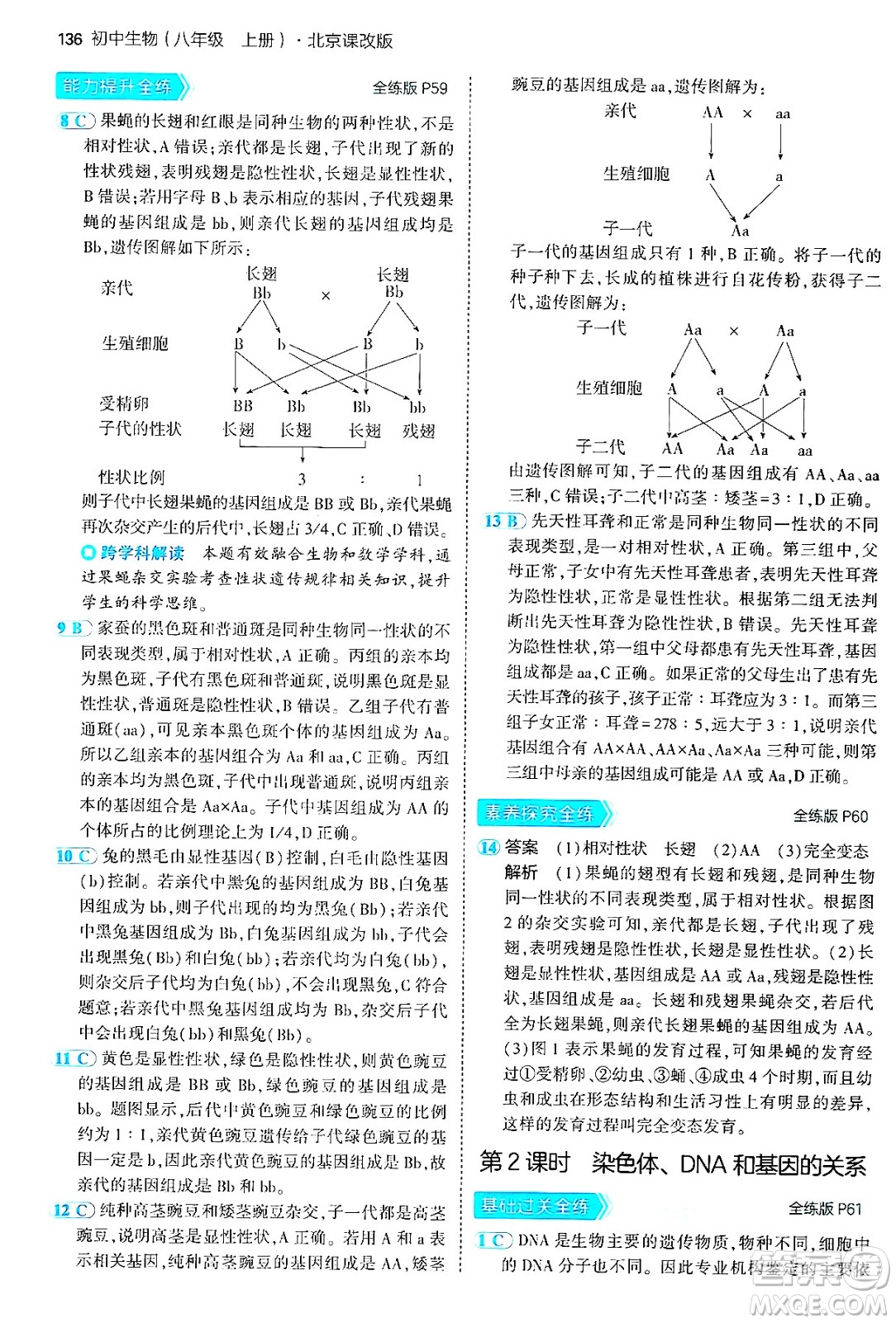 首都師范大學(xué)出版社2024年秋初中同步5年中考3年模擬八年級(jí)生物上冊(cè)北京課改版北京專版答案