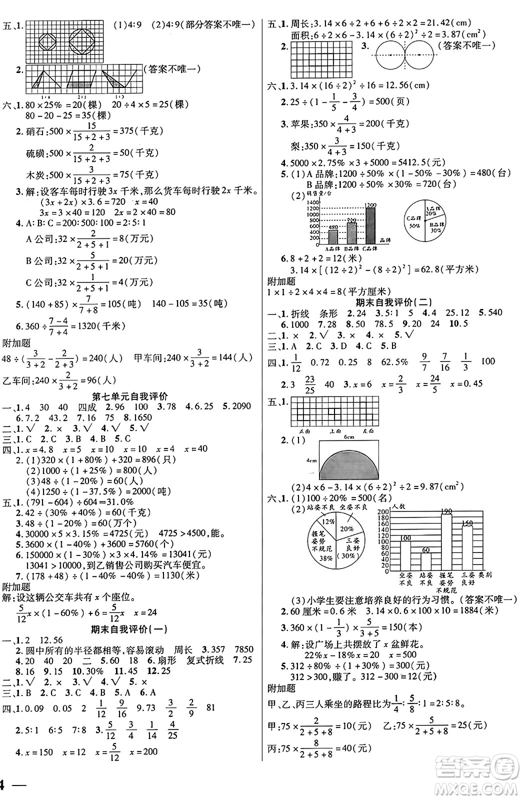 陽光出版社2024年秋揚(yáng)帆文化激活思維智能訓(xùn)練六年級數(shù)學(xué)上冊北師大版答案