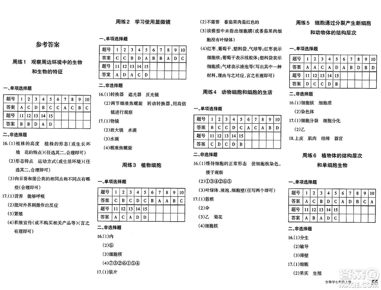 新疆青少年出版社2024年秋優(yōu)學(xué)1+1評(píng)價(jià)與測(cè)試七年級(jí)生物上冊(cè)通用版答案