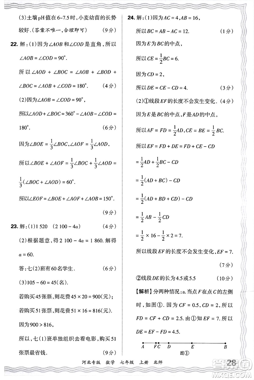 江西人民出版社2024年秋王朝霞各地期末試卷精選七年級(jí)數(shù)學(xué)上冊北師大版河北專版答案