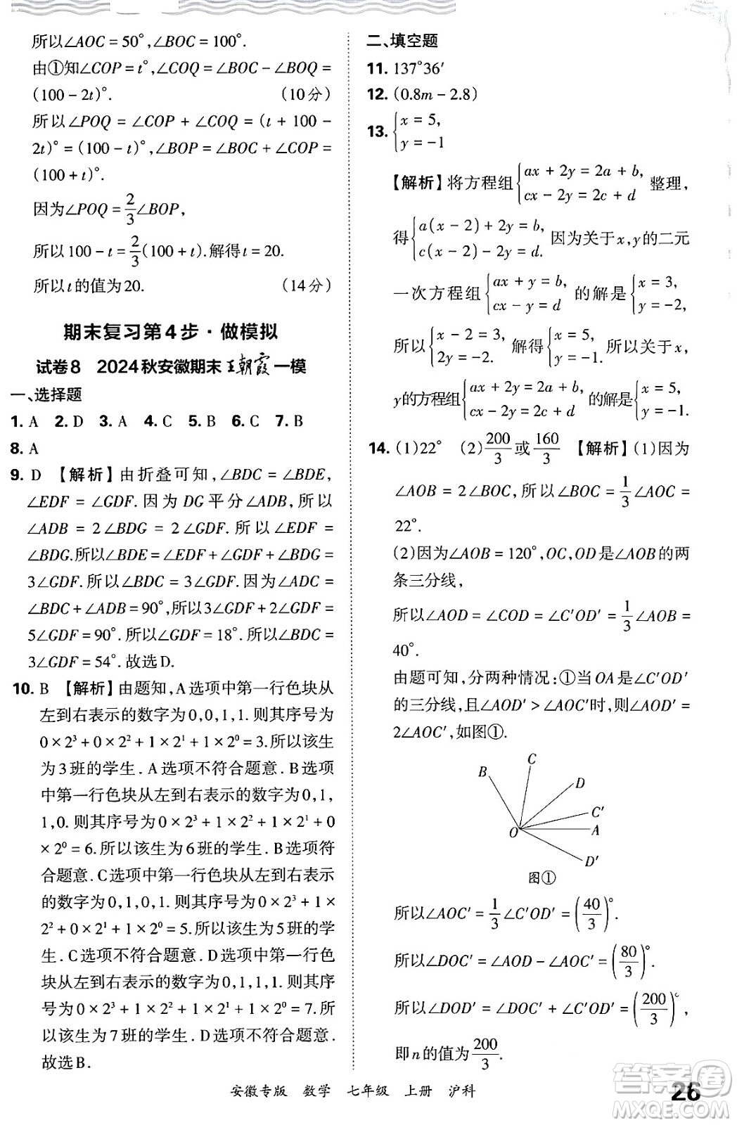 江西人民出版社2024年秋王朝霞各地期末試卷精選七年級(jí)數(shù)學(xué)上冊(cè)滬科版安徽專版答案