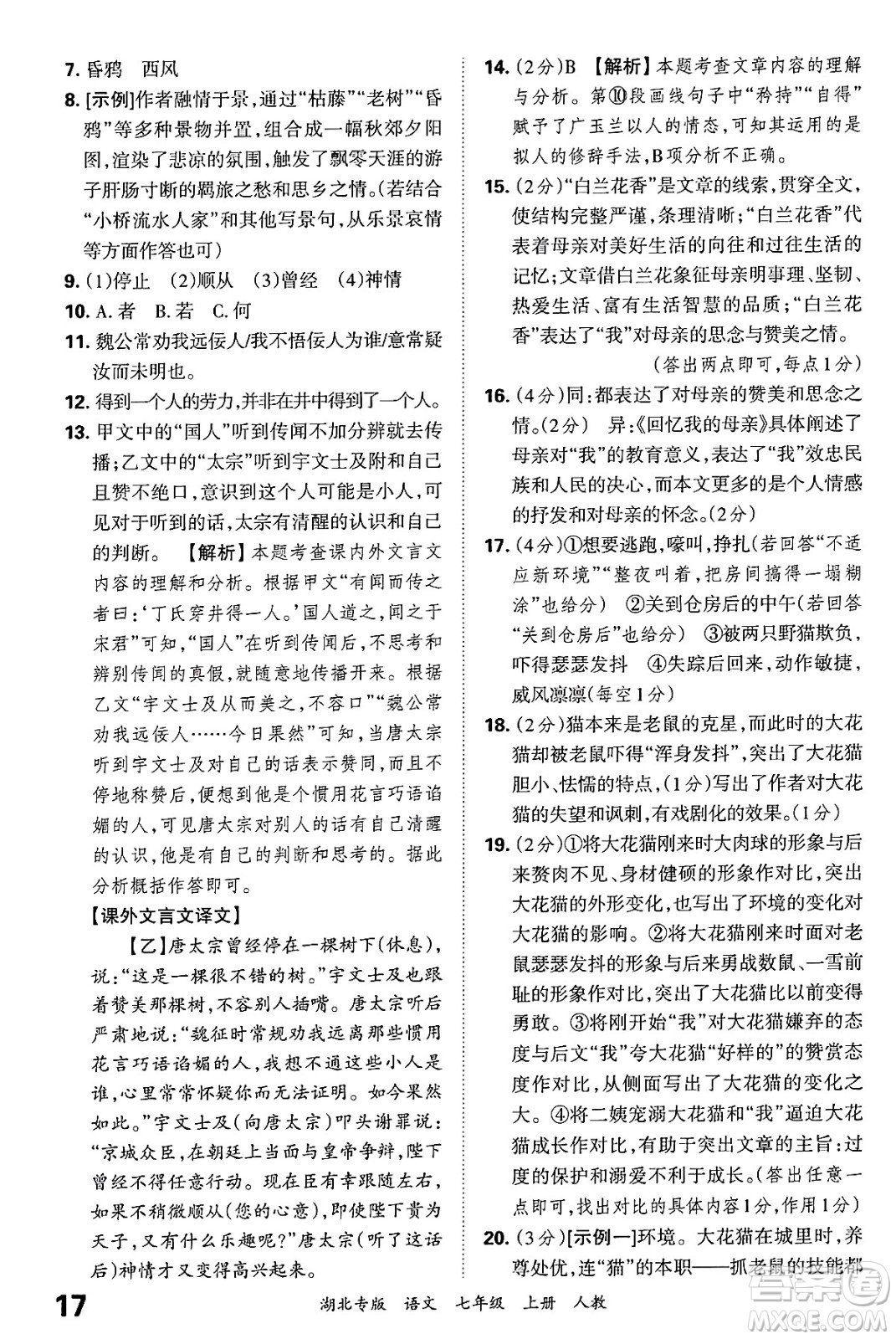 江西人民出版社2024年秋王朝霞各地期末試卷精選七年級語文上冊人教版湖北專版答案