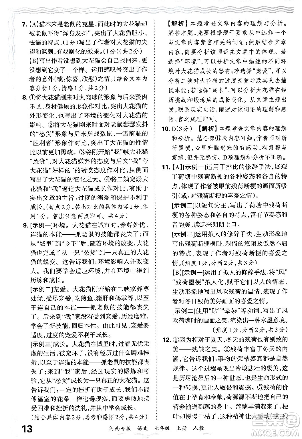 江西人民出版社2024年秋王朝霞各地期末試卷精選七年級語文上冊人教版河南專版答案