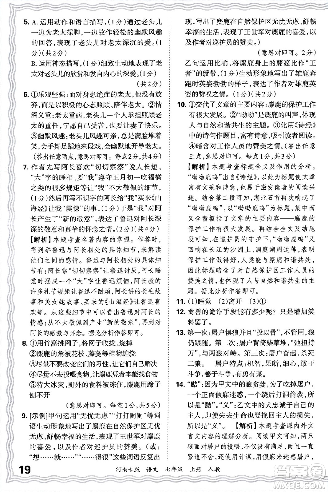 江西人民出版社2024年秋王朝霞各地期末試卷精選七年級語文上冊人教版河南專版答案