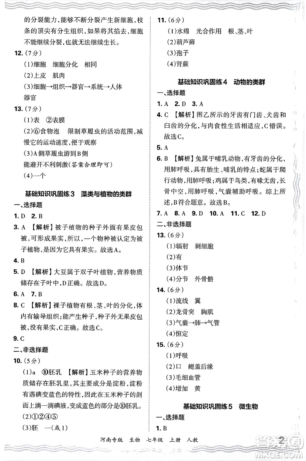 江西人民出版社2024年秋王朝霞各地期末試卷精選七年級生物上冊人教版河南專版答案