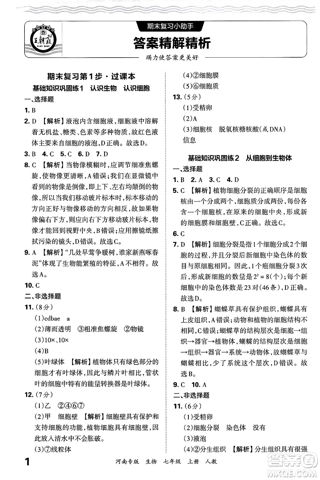 江西人民出版社2024年秋王朝霞各地期末試卷精選七年級生物上冊人教版河南專版答案