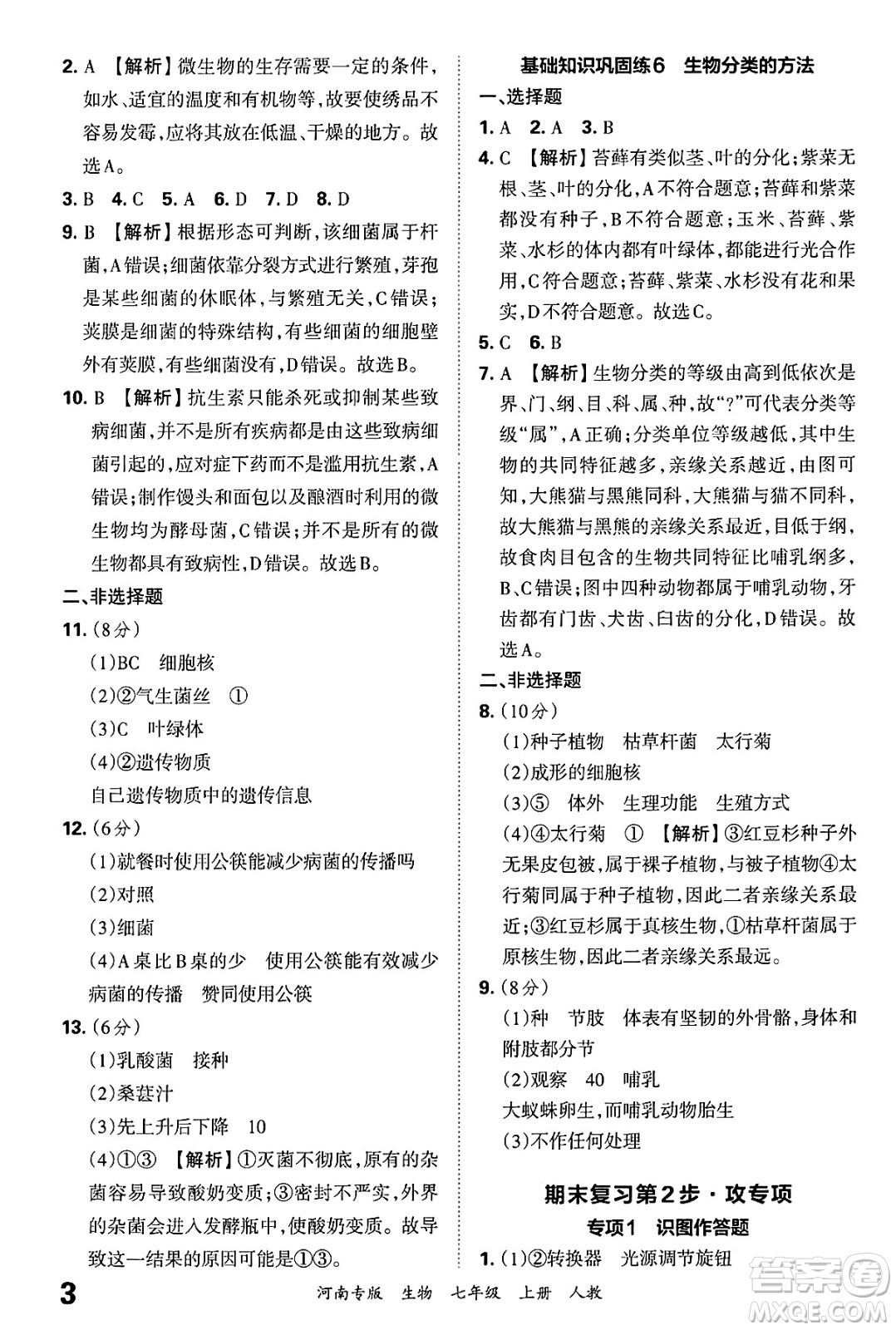 江西人民出版社2024年秋王朝霞各地期末試卷精選七年級生物上冊人教版河南專版答案