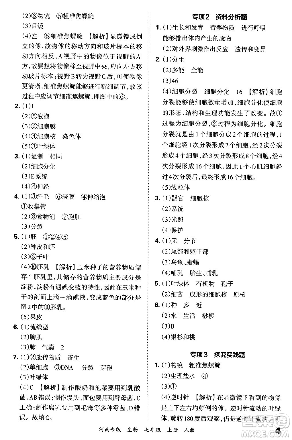 江西人民出版社2024年秋王朝霞各地期末試卷精選七年級生物上冊人教版河南專版答案