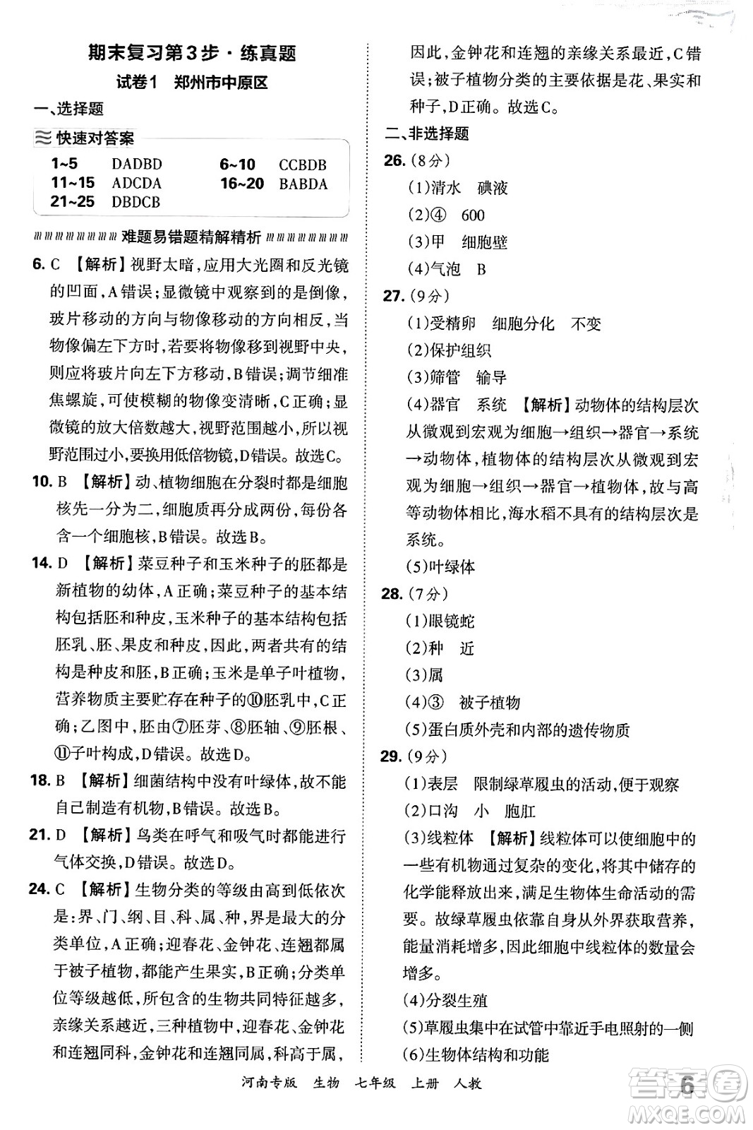 江西人民出版社2024年秋王朝霞各地期末試卷精選七年級生物上冊人教版河南專版答案