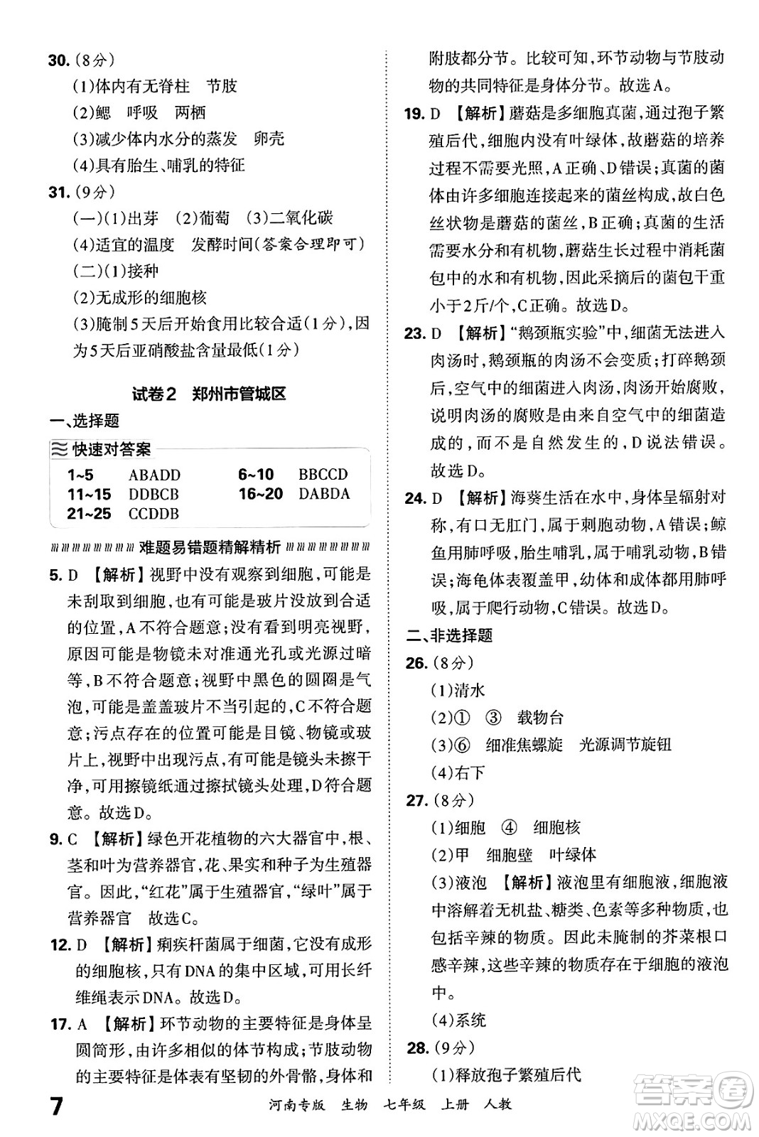 江西人民出版社2024年秋王朝霞各地期末試卷精選七年級生物上冊人教版河南專版答案