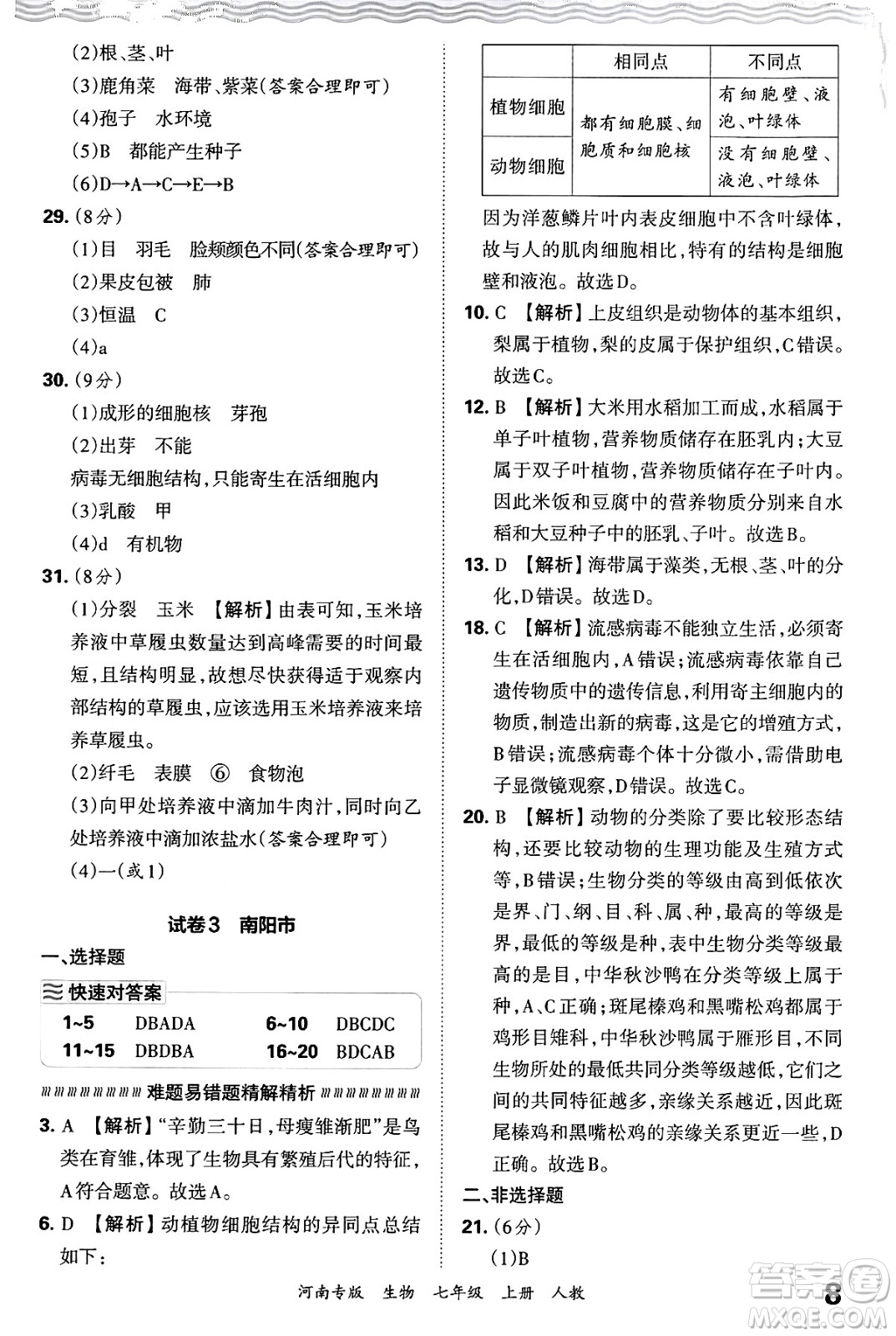 江西人民出版社2024年秋王朝霞各地期末試卷精選七年級生物上冊人教版河南專版答案