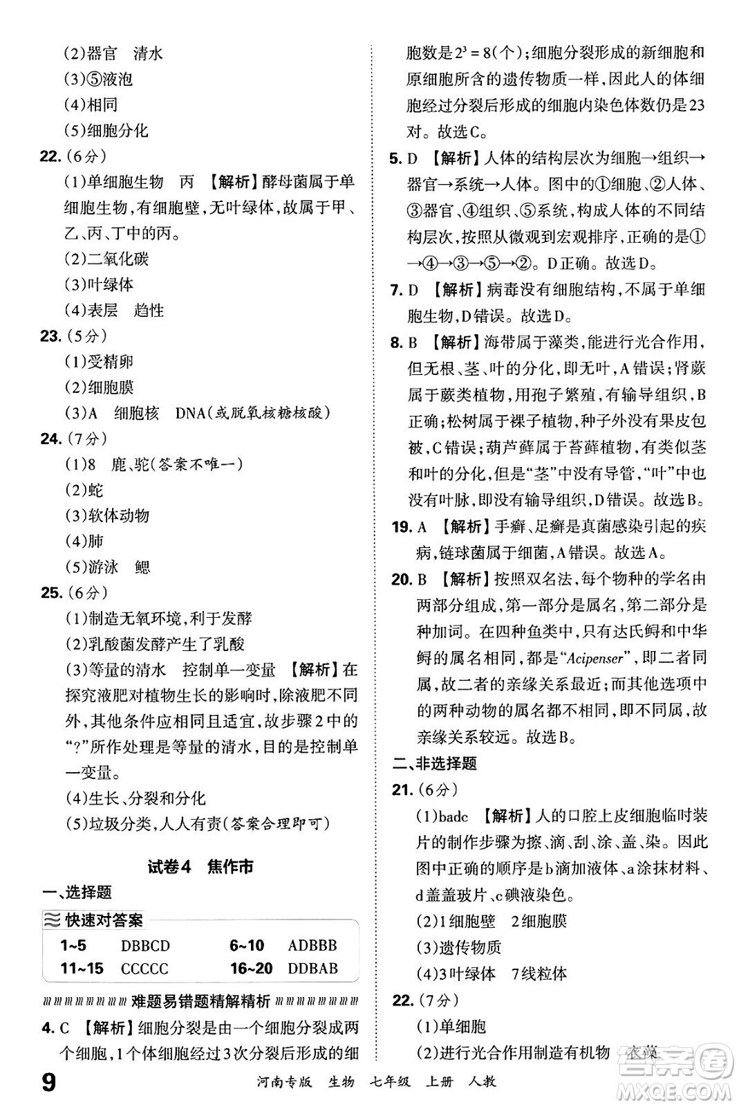 江西人民出版社2024年秋王朝霞各地期末試卷精選七年級生物上冊人教版河南專版答案