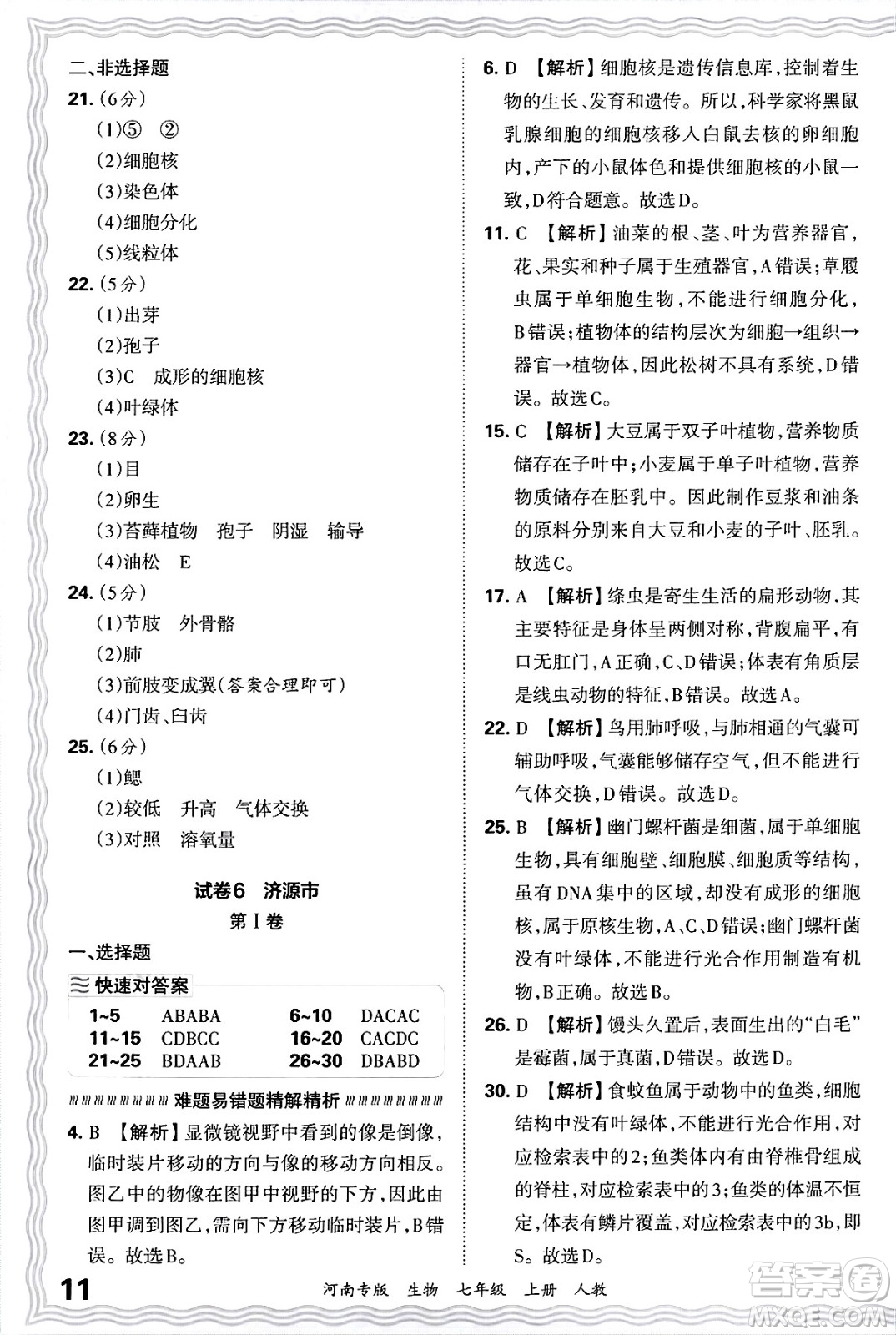 江西人民出版社2024年秋王朝霞各地期末試卷精選七年級生物上冊人教版河南專版答案