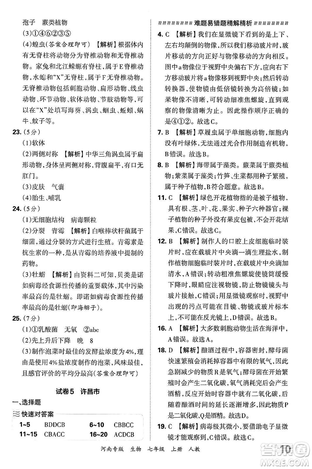 江西人民出版社2024年秋王朝霞各地期末試卷精選七年級生物上冊人教版河南專版答案