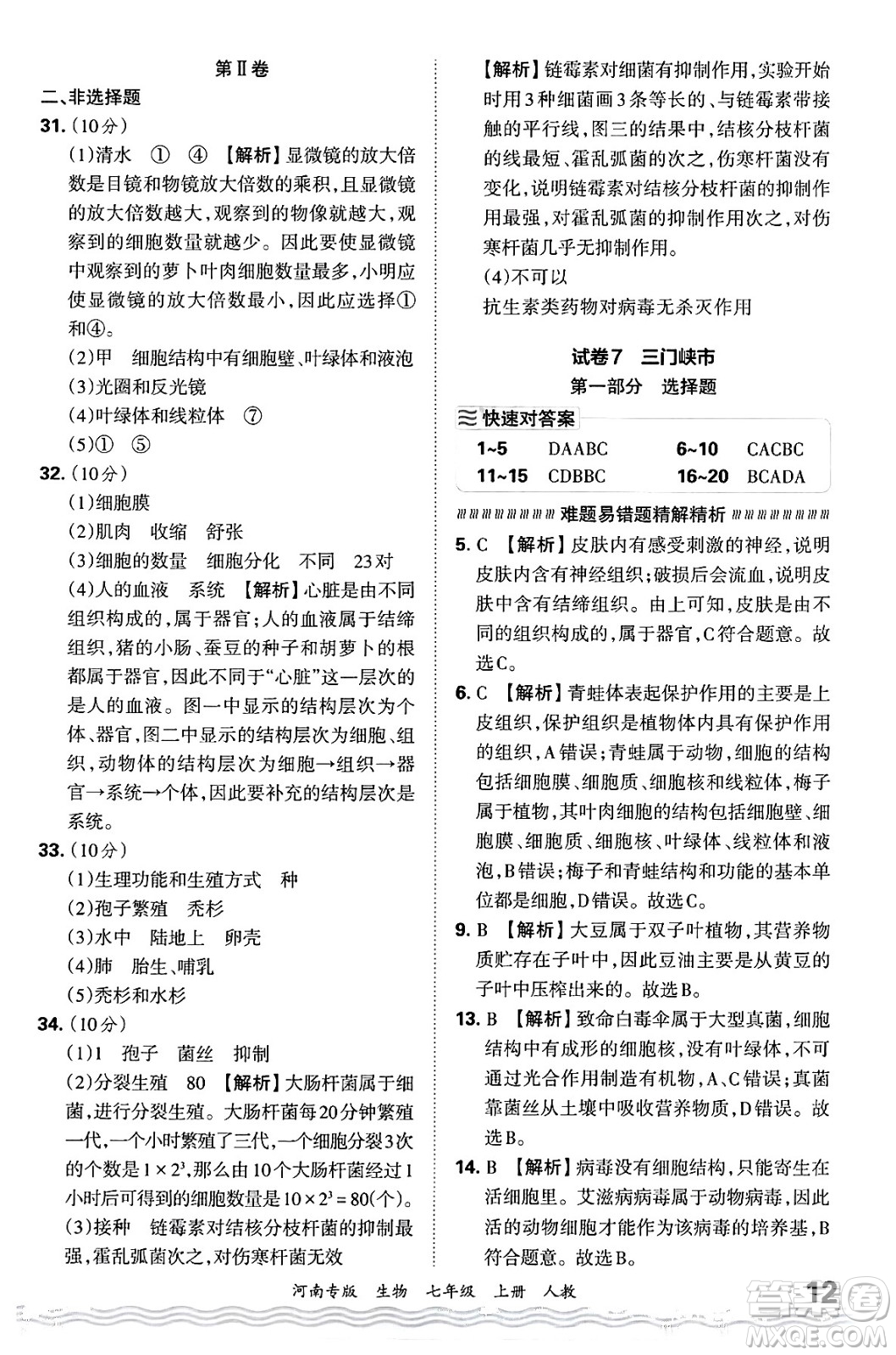 江西人民出版社2024年秋王朝霞各地期末試卷精選七年級生物上冊人教版河南專版答案