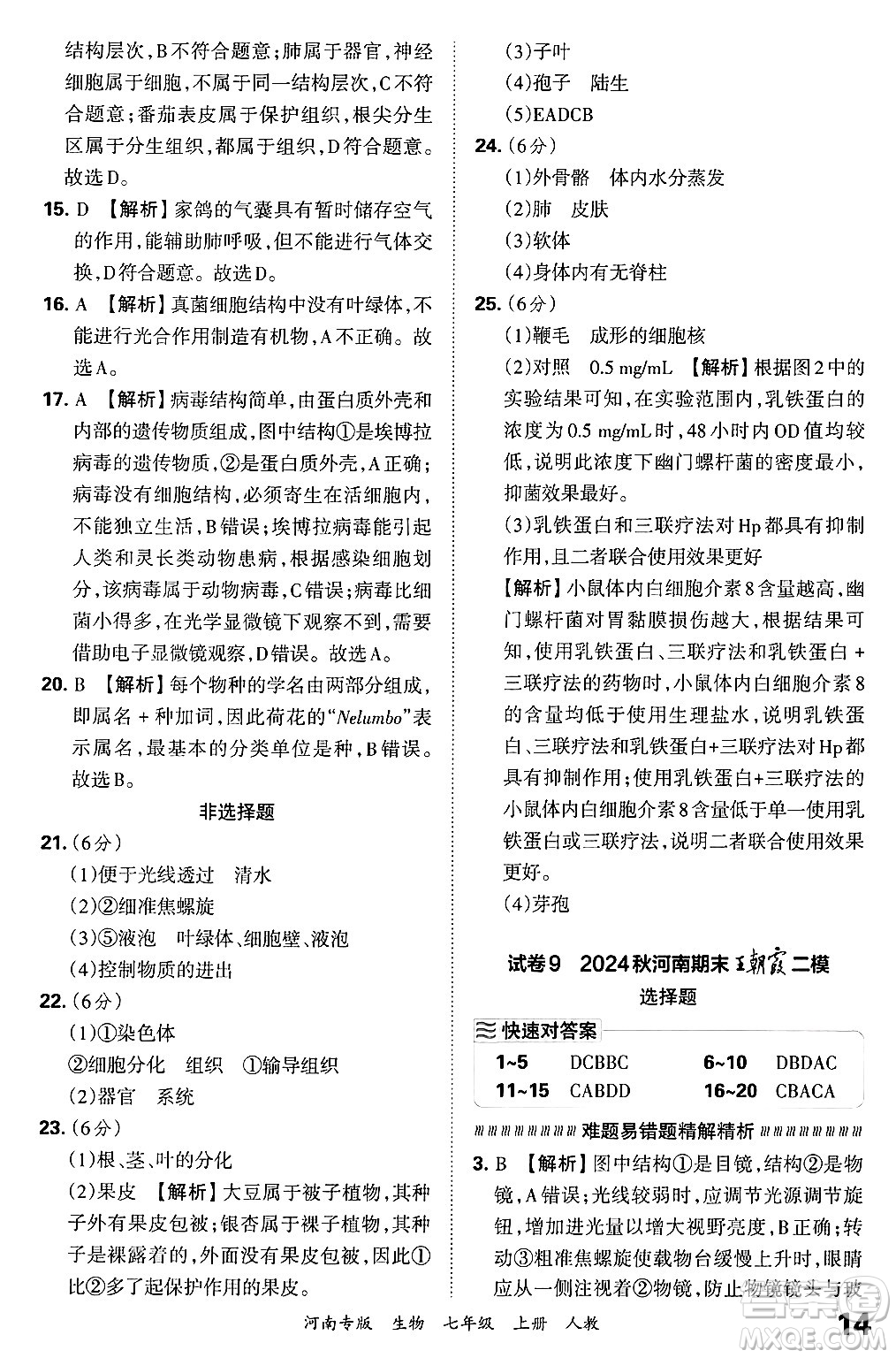 江西人民出版社2024年秋王朝霞各地期末試卷精選七年級生物上冊人教版河南專版答案