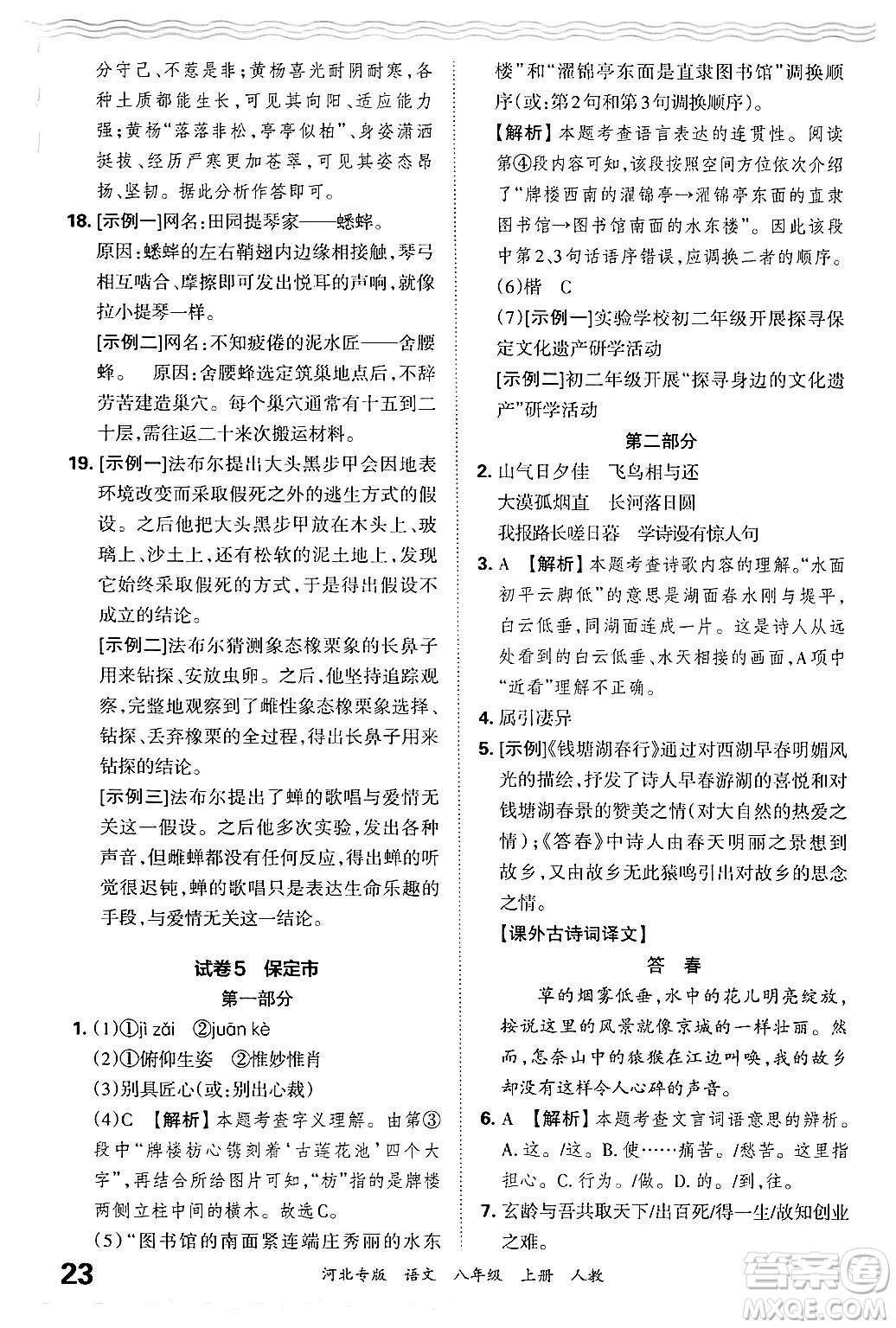 江西人民出版社2024年秋王朝霞各地期末試卷精選八年級(jí)語(yǔ)文上冊(cè)人教版河北專版答案