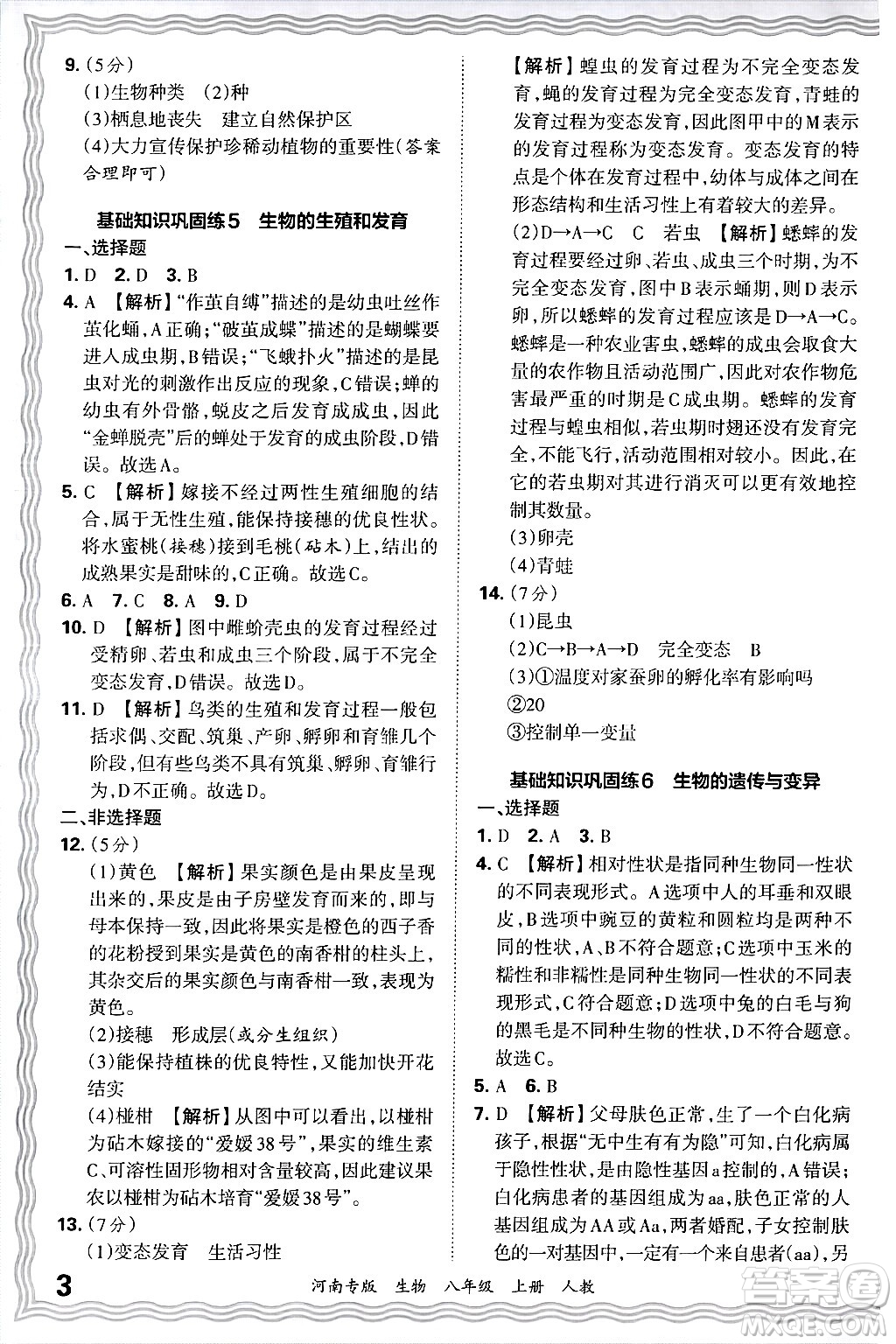 江西人民出版社2024年秋王朝霞各地期末試卷精選八年級生物上冊人教版河南專版答案