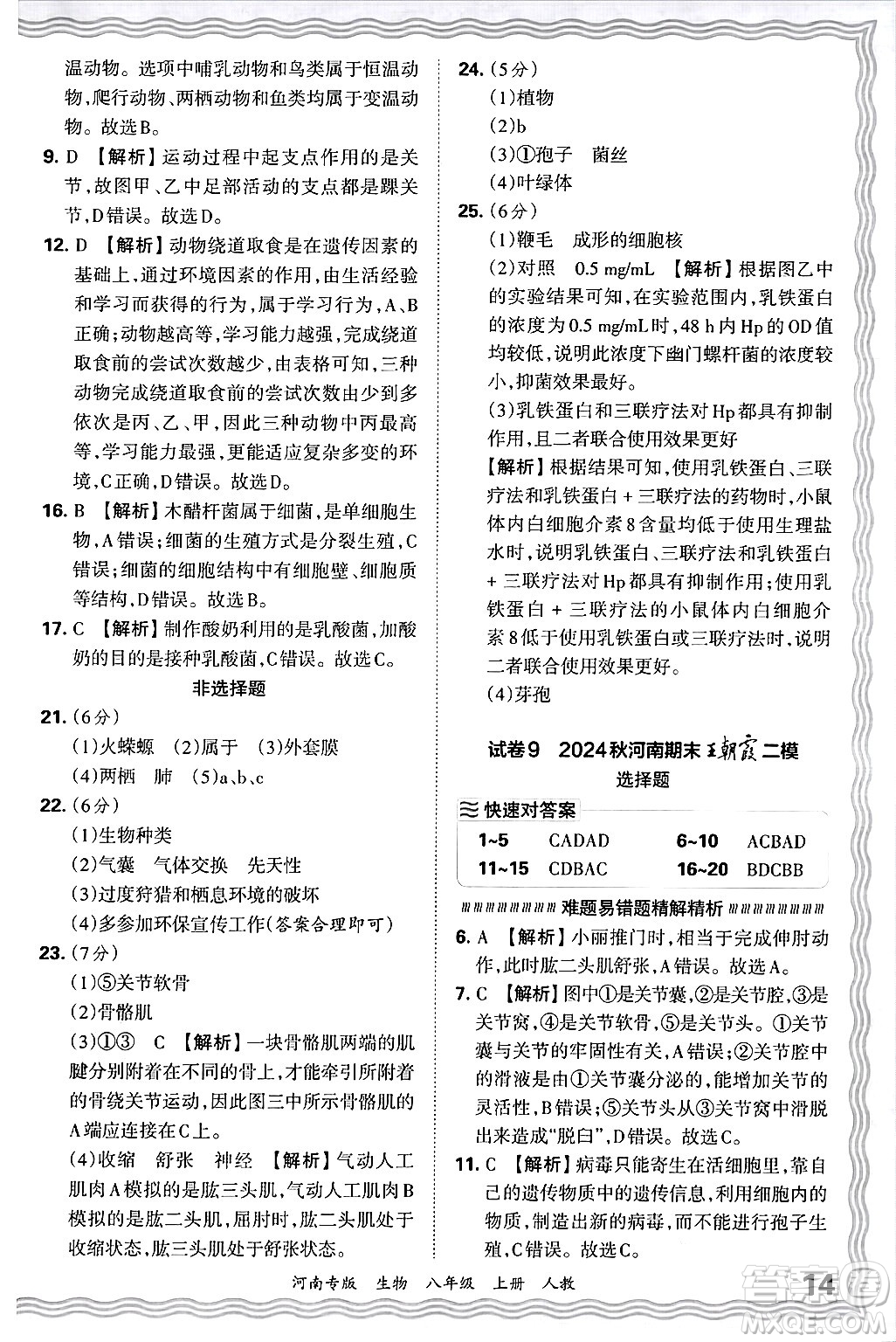 江西人民出版社2024年秋王朝霞各地期末試卷精選八年級生物上冊人教版河南專版答案