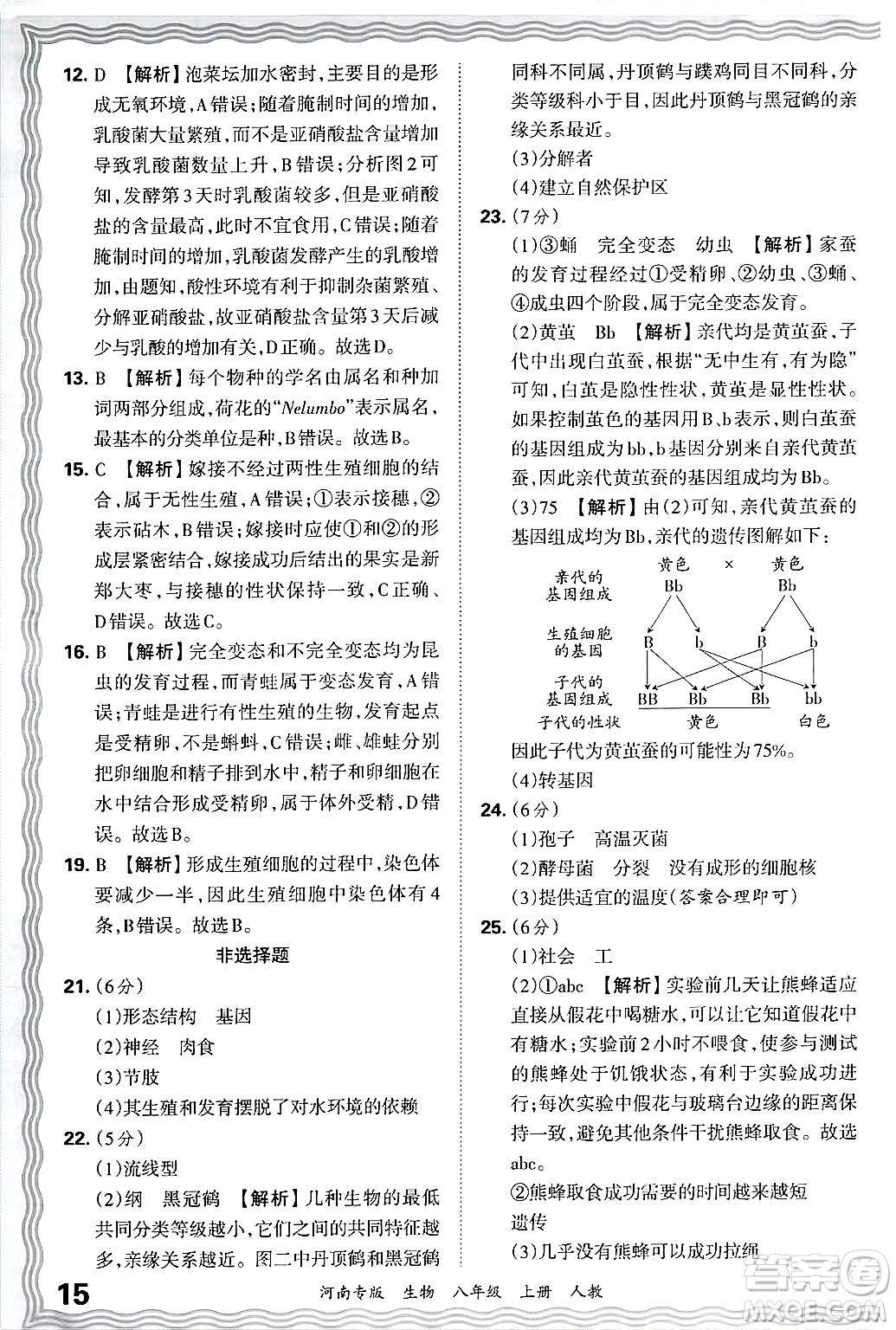 江西人民出版社2024年秋王朝霞各地期末試卷精選八年級生物上冊人教版河南專版答案