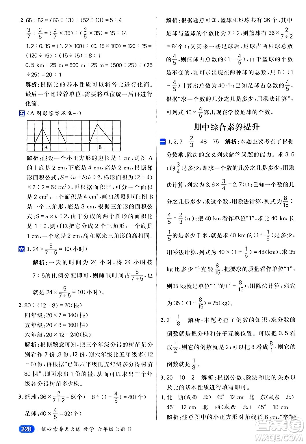 南方出版社2024秋學(xué)緣教育核心素養(yǎng)天天練六年級數(shù)學(xué)上冊人教版答案