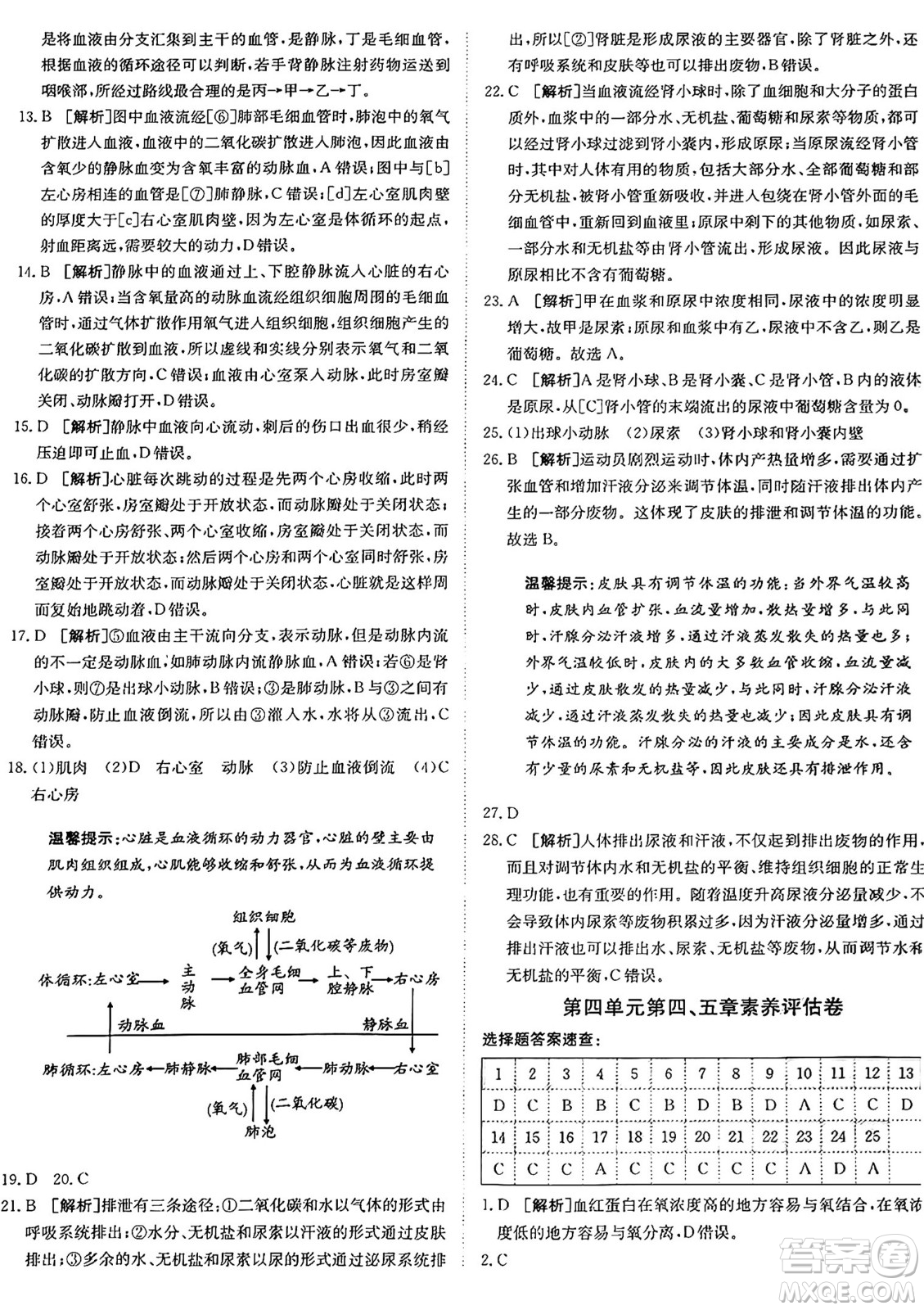 新疆青少年出版社2024年秋神龍教育期末考向標(biāo)全程跟蹤突破測(cè)試卷七年級(jí)生物上冊(cè)魯科版答案