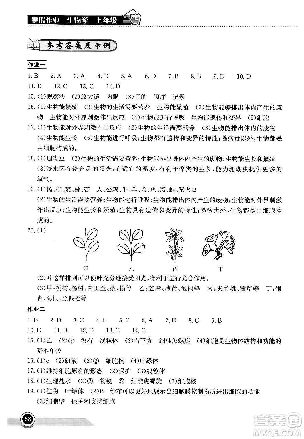 湖北教育出版社2025年長(zhǎng)江作業(yè)本寒假作業(yè)七年級(jí)生物通用版答案