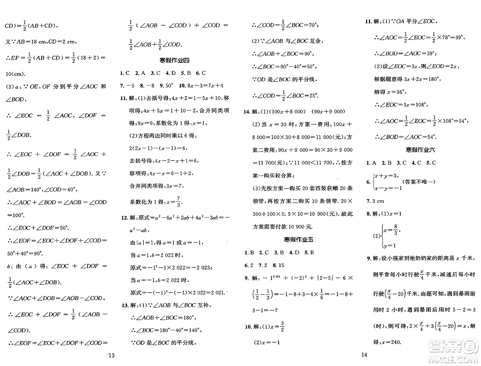 長(zhǎng)江出版社2025年鑫浪傳媒給力100寒假作業(yè)七年級(jí)數(shù)學(xué)湘教版答案